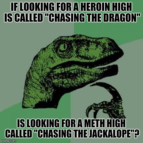 Jackalopes Sound Like Cool Beasts | IF LOOKING FOR A HEROIN HIGH IS CALLED "CHASING THE DRAGON"; IS LOOKING FOR A METH HIGH CALLED "CHASING THE JACKALOPE"? | image tagged in memes,philosoraptor,jackalope,meth,heroin,high | made w/ Imgflip meme maker