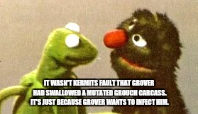 Grover the grouch | IT WASN'T KERMITS FAULT THAT GROVER HAD SWALLOWED A MUTATED GROUCH CARCASS. IT'S JUST BECAUSE GROVER WANTS TO INFECT HIM. | image tagged in funny | made w/ Imgflip meme maker