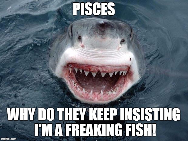 O Hai Shark | PISCES; WHY DO THEY KEEP INSISTING I'M A FREAKING FISH! | image tagged in o hai shark | made w/ Imgflip meme maker