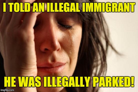 First World Problems | I TOLD AN ILLEGAL IMMIGRANT; HE WAS ILLEGALLY PARKED! | image tagged in memes,first world problems | made w/ Imgflip meme maker