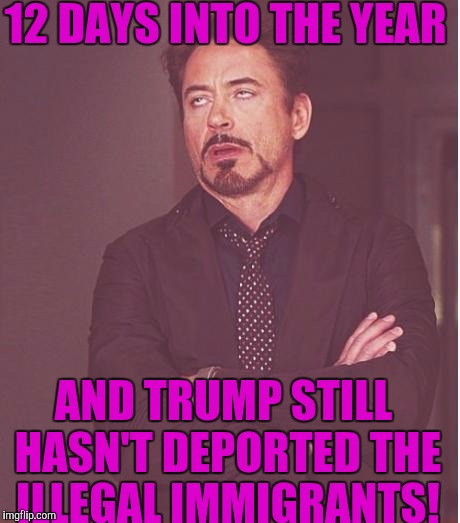 Face You Make Robert Downey Jr Meme | 12 DAYS INTO THE YEAR; AND TRUMP STILL HASN'T DEPORTED THE ILLEGAL IMMIGRANTS! | image tagged in memes,face you make robert downey jr | made w/ Imgflip meme maker