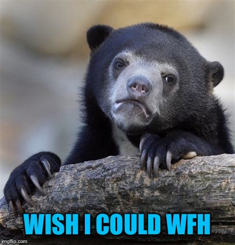 Confession Bear Meme | WISH I COULD WFH | image tagged in memes,confession bear | made w/ Imgflip meme maker