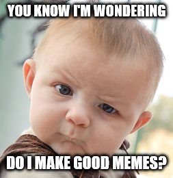 Skeptical Baby | YOU KNOW I'M WONDERING; DO I MAKE GOOD MEMES? | image tagged in memes,skeptical baby | made w/ Imgflip meme maker