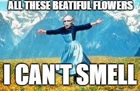 Look At All These | ALL THESE BEATIFUL FLOWERS; I CAN'T SMELL | image tagged in memes,look at all these | made w/ Imgflip meme maker