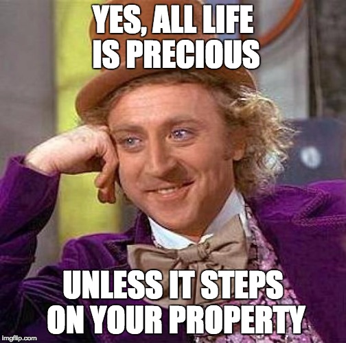 Creepy Condescending Wonka Meme | YES, ALL LIFE IS PRECIOUS UNLESS IT STEPS ON YOUR PROPERTY | image tagged in memes,creepy condescending wonka | made w/ Imgflip meme maker