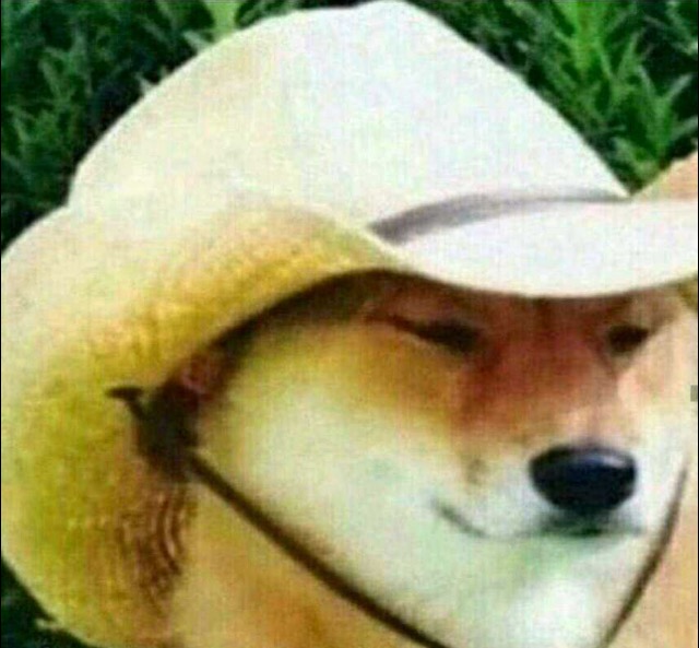 Cowboy Doge Blank Meme Template