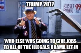 The Don | TRUMP 2017; WHO ELSE WAS GOING TO GIVE JOBS TO ALL OF THE ILLEGALS OBAMA LET IN | image tagged in trump 2016,trump,donald trump approves | made w/ Imgflip meme maker
