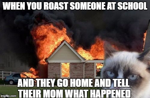 Burn Kitty Meme | WHEN YOU ROAST SOMEONE AT SCHOOL; AND THEY GO HOME AND TELL THEIR MOM WHAT HAPPENED | image tagged in memes,burn kitty,grumpy cat | made w/ Imgflip meme maker