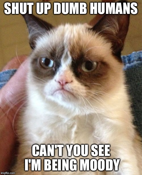 Grumpy Cat Meme | SHUT UP DUMB HUMANS; CAN'T YOU SEE I'M BEING MOODY | image tagged in memes,grumpy cat | made w/ Imgflip meme maker