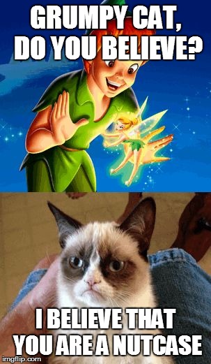 Grumpy Cat Does Not Believe Meme | GRUMPY CAT, DO YOU BELIEVE? I BELIEVE THAT YOU ARE A NUTCASE | image tagged in memes,grumpy cat does not believe,grumpy cat | made w/ Imgflip meme maker
