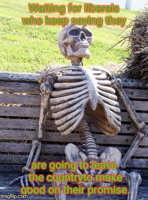 Waiting Skeleton Meme |  Waiting for liberals who keep saying they; are going to leave the countryto make good on their promise. | image tagged in memes,waiting skeleton | made w/ Imgflip meme maker