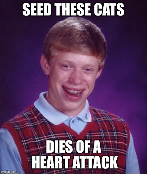 Bad Luck Brian Meme | SEED THESE CATS DIES OF A HEART ATTACK | image tagged in memes,bad luck brian | made w/ Imgflip meme maker