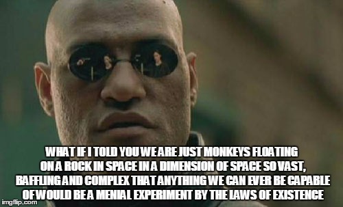 WHAT IF I TOLD YOU WE ARE JUST MONKEYS FLOATING ON A ROCK IN SPACE IN A DIMENSION OF SPACE SO VAST, BAFFLING AND COMPLEX THAT ANYTHING WE CA | image tagged in memes,matrix morpheus | made w/ Imgflip meme maker