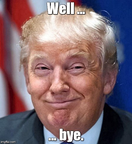 Well ... ... bye. | image tagged in donald trump | made w/ Imgflip meme maker