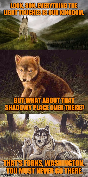 DeviantArt Meme Week: A Hybrid With Daily Memes - Twilight Edition | LOOK, SON. EVERYTHING THE LIGHT TOUCHES IS OUR KINGDOM. BUT WHAT ABOUT THAT SHADOWY PLACE OVER THERE? THAT'S FORKS, WASHINGTON. YOU MUST NEVER GO THERE. | image tagged in deviantart week,deviantart,hybrid,simba shadowy place,wolves,twilight | made w/ Imgflip meme maker