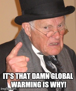 Back In My Day Meme | IT'S THAT DAMN GLOBAL WARMING IS WHY! | image tagged in memes,back in my day | made w/ Imgflip meme maker
