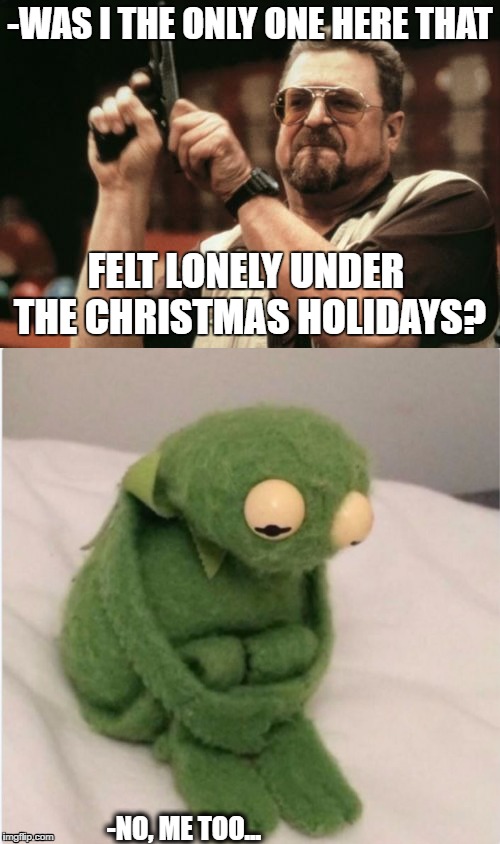 lonely kermit |  -WAS I THE ONLY ONE HERE THAT; FELT LONELY UNDER THE CHRISTMAS HOLIDAYS? -NO, ME TOO... | image tagged in kermit the frog | made w/ Imgflip meme maker