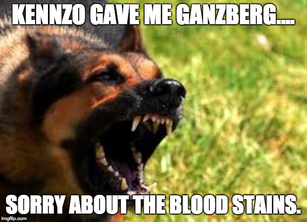 Evil German Shepherd from Hell | KENNZO GAVE ME GANZBERG.... SORRY ABOUT THE BLOOD STAINS. | image tagged in evil german shepherd from hell | made w/ Imgflip meme maker