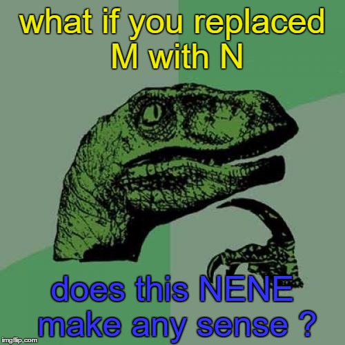 Just think for a sec, | what if you replaced M with N; does this NENE make any sense ? | image tagged in memes,philosoraptor,think,make sense | made w/ Imgflip meme maker
