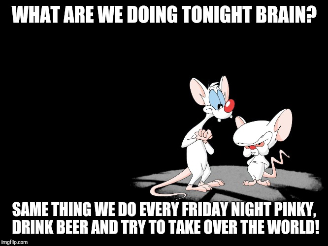 Pinky And The Brain | WHAT ARE WE DOING TONIGHT BRAIN? SAME THING WE DO EVERY FRIDAY NIGHT PINKY, DRINK BEER AND TRY TO TAKE OVER THE WORLD! | image tagged in pinky and the brain | made w/ Imgflip meme maker