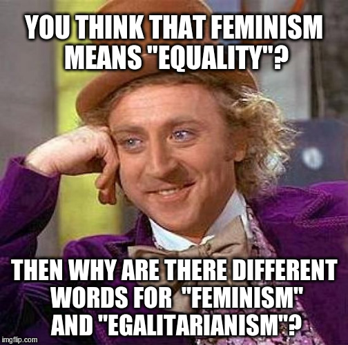 You think that feminism means "equality"? | YOU THINK THAT FEMINISM MEANS "EQUALITY"? THEN WHY ARE THERE DIFFERENT WORDS FOR  "FEMINISM" AND "EGALITARIANISM"? | image tagged in memes,creepy condescending wonka,feminism,egalitarianism | made w/ Imgflip meme maker