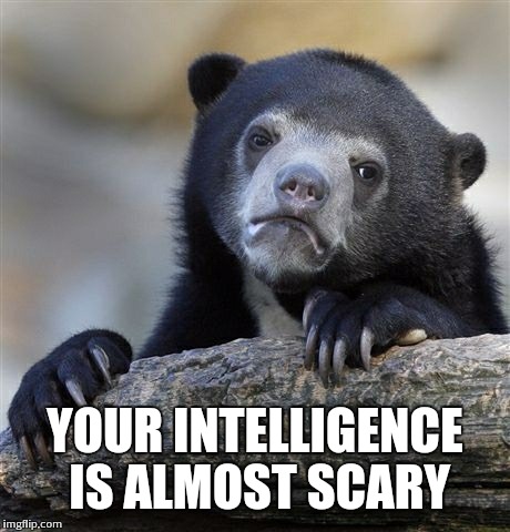 Confession Bear Meme | YOUR INTELLIGENCE IS ALMOST SCARY | image tagged in memes,confession bear | made w/ Imgflip meme maker