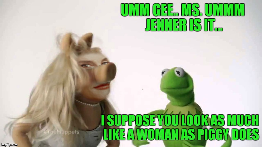UMM GEE.. MS. UMMM JENNER IS IT... I SUPPOSE YOU LOOK AS MUCH LIKE A WOMAN AS PIGGY DOES | made w/ Imgflip meme maker