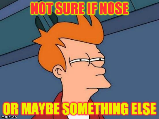 Futurama Fry Meme | NOT SURE IF NOSE OR MAYBE SOMETHING ELSE | image tagged in memes,futurama fry | made w/ Imgflip meme maker