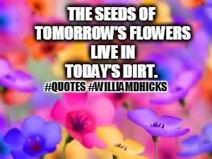 The Seeds of Tomorrow's Flowers QUOTE | THE SEEDS OF TOMORROW’S FLOWERS LIVE IN TODAY’S DIRT. #QUOTES #WILLIAMDHICKS | image tagged in flowers | made w/ Imgflip meme maker