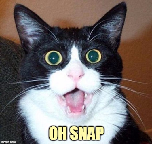 OH SNAP | made w/ Imgflip meme maker