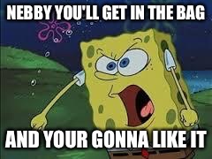 spongebob screaming | NEBBY YOU'LL GET IN THE BAG; AND YOUR GONNA LIKE IT | image tagged in spongebob screaming | made w/ Imgflip meme maker