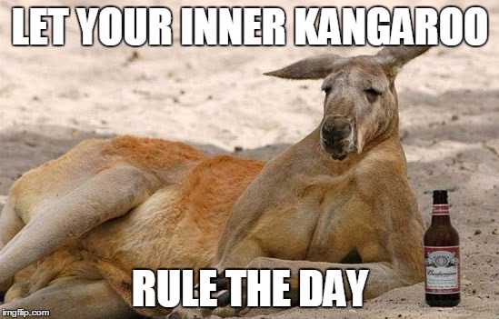 LET YOUR INNER KANGAROO; RULE THE DAY | image tagged in kangaroo | made w/ Imgflip meme maker