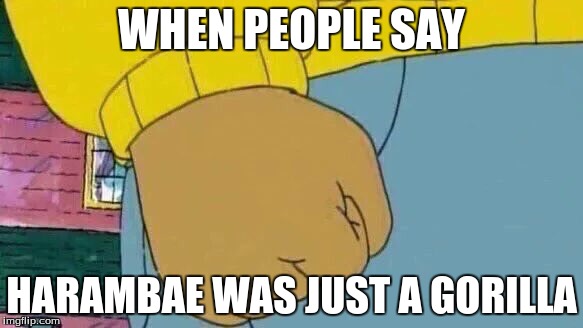 Arthur Fist | WHEN PEOPLE SAY; HARAMBAE WAS JUST A GORILLA | image tagged in memes,arthur fist | made w/ Imgflip meme maker