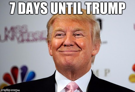 Donald trump approves | 7 DAYS UNTIL TRUMP | image tagged in donald trump approves | made w/ Imgflip meme maker