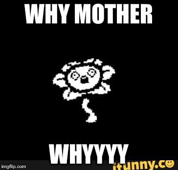 flowey | WHY MOTHER; WHYYYY | image tagged in flowey | made w/ Imgflip meme maker