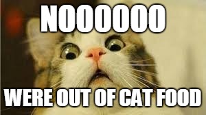 Funny animals | NOOOOOO; WERE OUT OF CAT FOOD | image tagged in funny animals | made w/ Imgflip meme maker