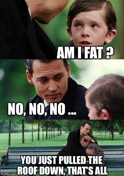 Finding Neverland Meme | AM I FAT ? NO, NO, NO ... YOU JUST PULLED THE ROOF DOWN, THAT'S ALL | image tagged in memes,finding neverland | made w/ Imgflip meme maker