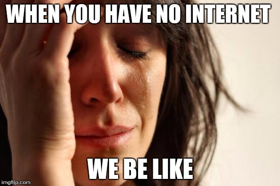 NO NOT THE INTERNET!!!
 | WHEN YOU HAVE NO INTERNET; WE BE LIKE | image tagged in memes,first world problems | made w/ Imgflip meme maker