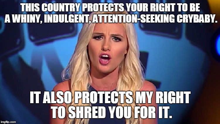 It's a shame we have to wait 15 years before she can run for President. | THIS COUNTRY PROTECTS YOUR RIGHT TO BE A WHINY, INDULGENT, ATTENTION-SEEKING CRYBABY. IT ALSO PROTECTS MY RIGHT TO SHRED YOU FOR IT. | image tagged in tomi lahren,snowflakes,crybabies,whiners,where have you been all my life | made w/ Imgflip meme maker