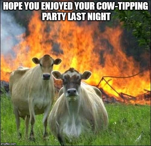 Evil Cows | HOPE YOU ENJOYED YOUR COW-TIPPING PARTY LAST NIGHT | image tagged in memes,evil cows | made w/ Imgflip meme maker