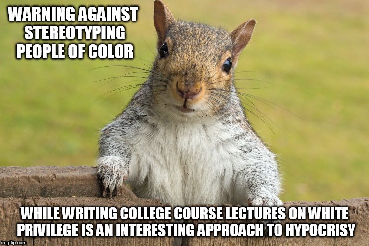 Advice giving squirrel | WARNING AGAINST STEREOTYPING PEOPLE OF COLOR; WHILE WRITING COLLEGE COURSE LECTURES ON WHITE PRIVILEGE IS AN INTERESTING APPROACH TO HYPOCRISY | image tagged in advice giving squirrel | made w/ Imgflip meme maker