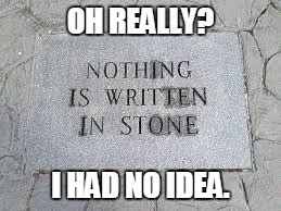 Irony friday! | OH REALLY? I HAD NO IDEA. | image tagged in stone | made w/ Imgflip meme maker