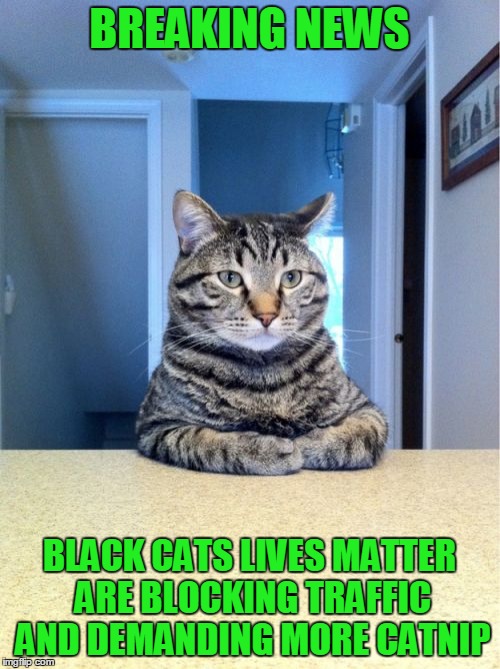 BREAKING NEWS BLACK CATS LIVES MATTER ARE BLOCKING TRAFFIC AND DEMANDING MORE CATNIP | made w/ Imgflip meme maker