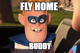 FLY HOME; BUDDY | image tagged in fly home buddy | made w/ Imgflip meme maker