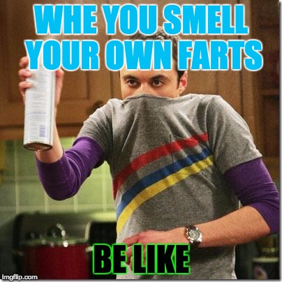 Big Bang Theory | WHE YOU SMELL YOUR OWN FARTS; BE LIKE | image tagged in big bang theory | made w/ Imgflip meme maker