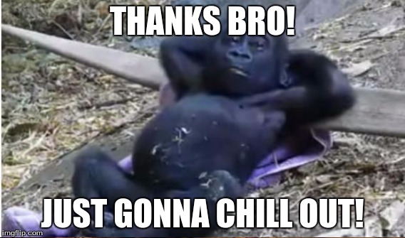 THANKS BRO! JUST GONNA CHILL OUT! | made w/ Imgflip meme maker