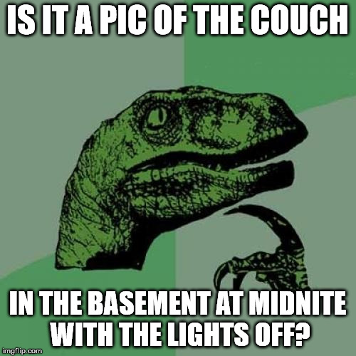 Philosoraptor Meme | IS IT A PIC OF THE COUCH IN THE BASEMENT AT MIDNITE WITH THE LIGHTS OFF? | image tagged in memes,philosoraptor | made w/ Imgflip meme maker