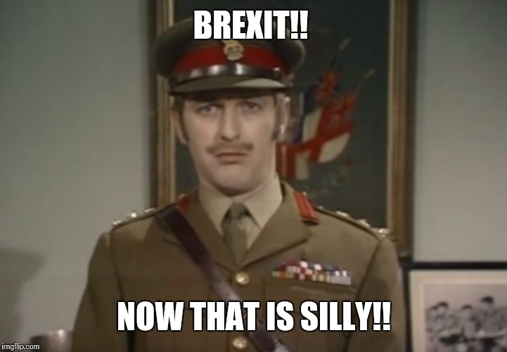 Monty Python Colonel | BREXIT!! NOW THAT IS SILLY!! | image tagged in monty python colonel | made w/ Imgflip meme maker