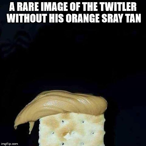 cracker trump | A RARE IMAGE OF THE TWITLER WITHOUT HIS ORANGE SRAY TAN | image tagged in trump,45,tiny,orange,cracker | made w/ Imgflip meme maker