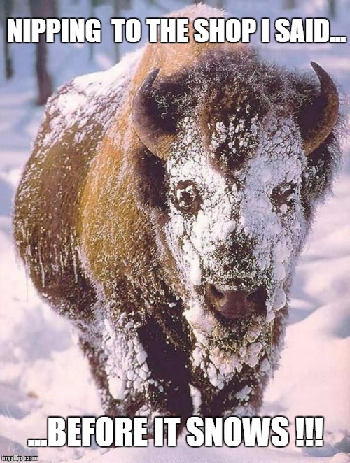 Snow Buffalo | NIPPING  TO THE SHOP I SAID... ...BEFORE IT SNOWS !!! | image tagged in snow buffalo | made w/ Imgflip meme maker